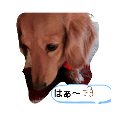 miyuki_20190523221629