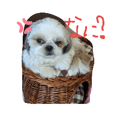 MIHO_2019052414324891