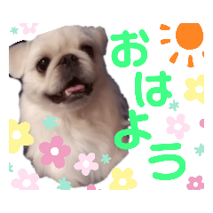 mako_20190523002136