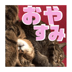 RiRi_20190524194031