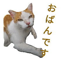 interesting Hokkaido dialect