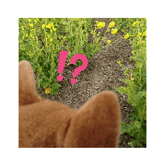 yukiko_20190524153219