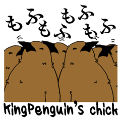 Kingpenguin's chick