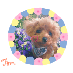 yuma_20190524013437