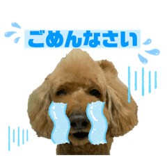 cocoa_20190524004530