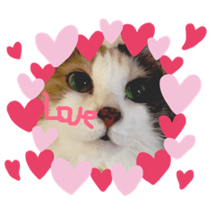 nanami_20190524223409