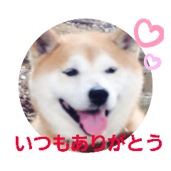 ponta_20190524230718
