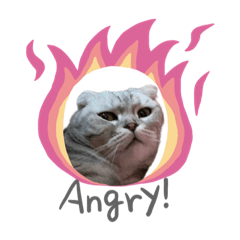 米魯春花生氣系列