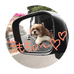 yuuki_20190524234447