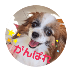 hikaru_20190524235421