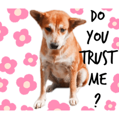 HANNAH_20190526154323