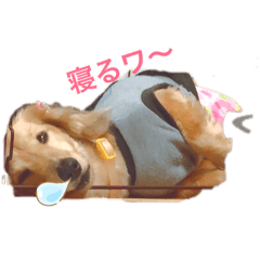 cocoa_20190525015752