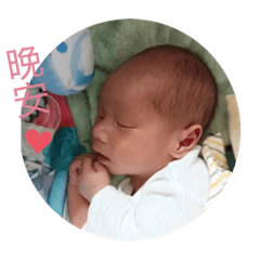 兔小包