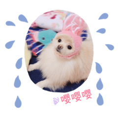 Happy Dog-YuanBao