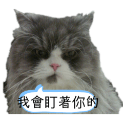 螃蟹弟日常-1