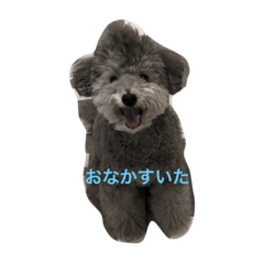 aoi_20190525181531