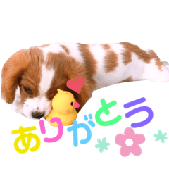 TM_20190525174025