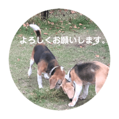 YUKKO_20190525212356