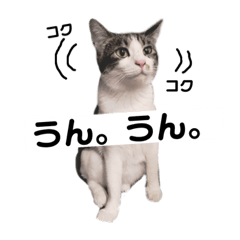 Oden Chan stickers