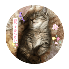 yamazaki_20190526175054