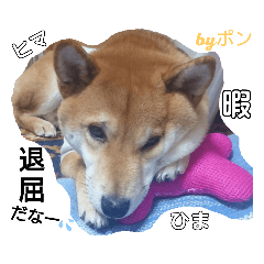 PON_20190526191108
