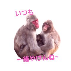 love's ANIMAL