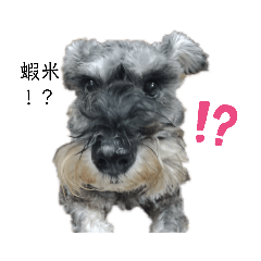 Lillian_20190528180258 - Stiker LINE | LINE STORE