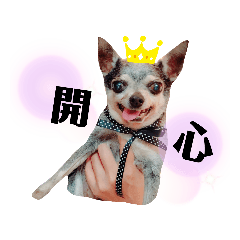 Candy寶貝妞妞