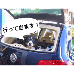 Sally_20190525211952