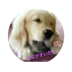 HIROKI_20190526090708