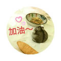 三線鼠班班