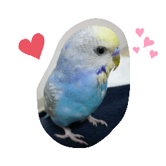 chihiro_20190526191658
