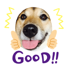 ringo_20190526220930