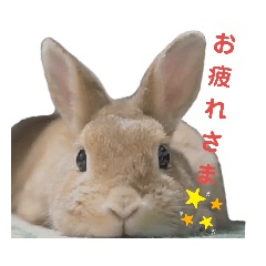 ken_20190526213743