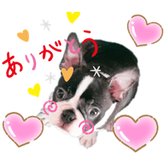 saori_20190527231904