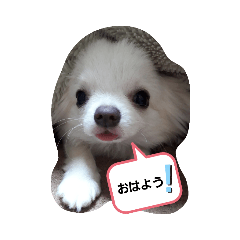 TOMMY_20190526223940