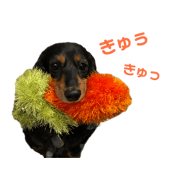My dog Mei and Choco.