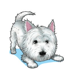 Move it up! White Terrier