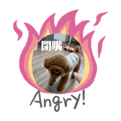 ruby_20190529170631