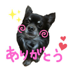 KAYO_20190521161311