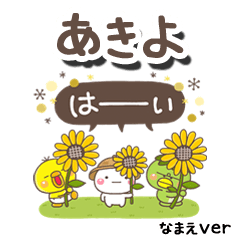 akiyo_on