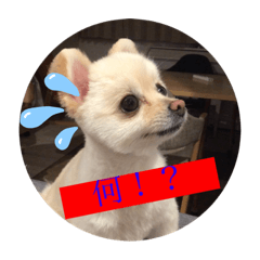 hinata_20190527204106