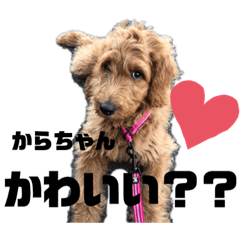 Natsumi_20190527180854