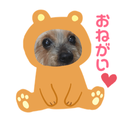 vanilla chan no.2