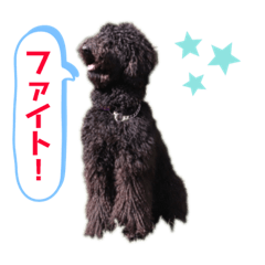 Mu_20190527144525