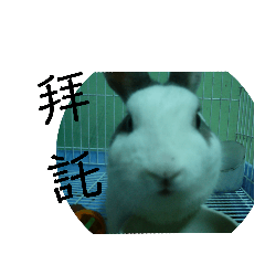 Latte貼圖