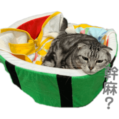 瑁哥