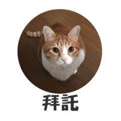 叩叩2
