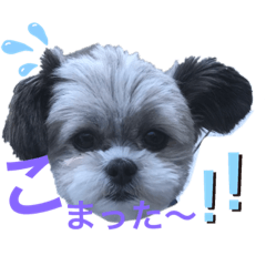 asako_20190527155701