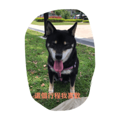 妞晴樂翔